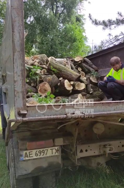 У Дніпрі невідомі знищують молоді дерева