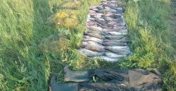 На Днепропетровщине мужчина наловил рыбы более чем на 200 тысяч гривен - рис. 8