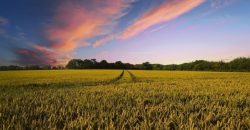 До 29 градусов тепла: какой будет погода в Днепре 22 июня - рис. 16