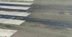 У Дніпрі автомобіль збив чоловіка на пішохідному переході: поліція розшукує свідків ДТП - рис. 6