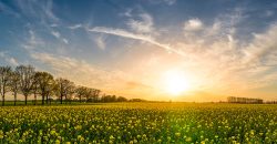 До 28 градусыв тепла: якою буде погода у Дніпрі 27 червня