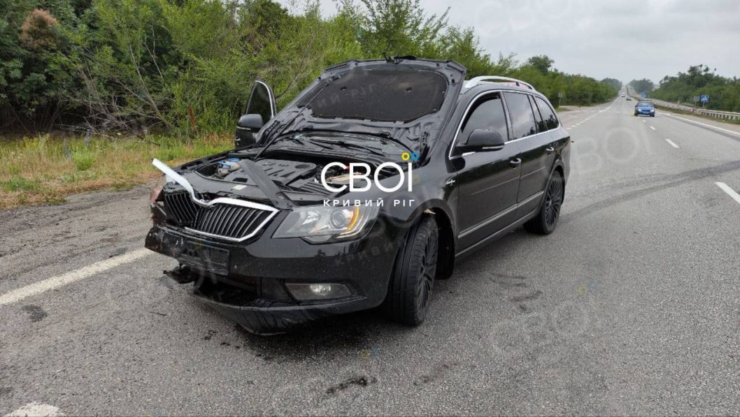 На Дніпропетровщині косуля вибігла на дорогу і потрапила під колеса автівки