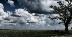 До 28 градусів тепла: якою буде погода у Дніпрі 18 червня