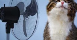 До 33 градусів тепла: якою буде погода у Дніпрі 29 червня