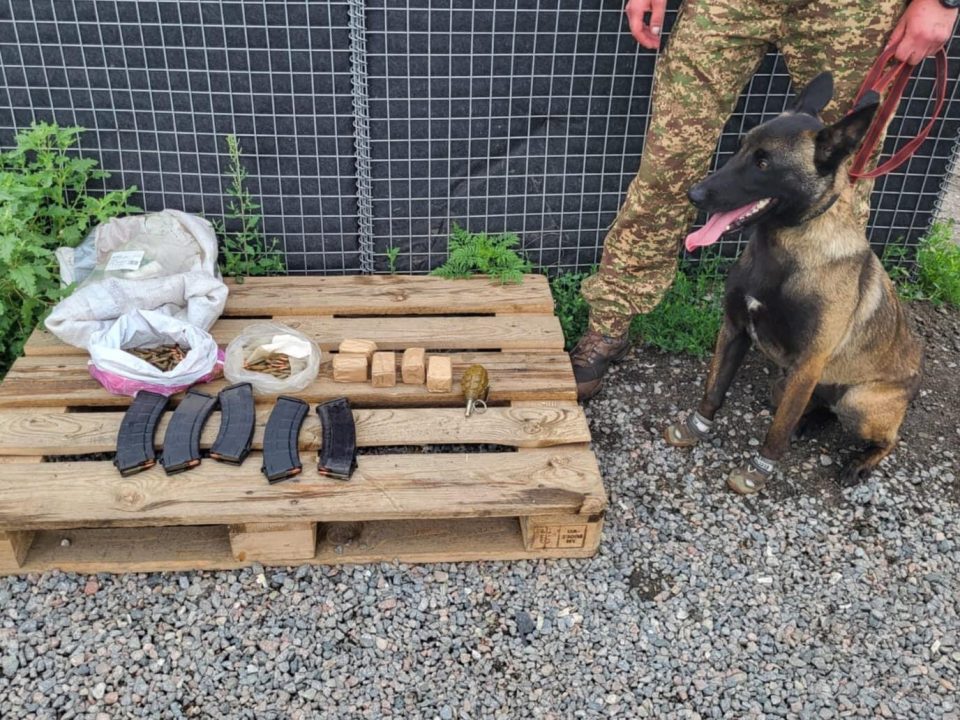 Граната та майже півтисячі набоїв: на Дніпропетровщині затримали чоловіка з боєприпасами - рис. 1