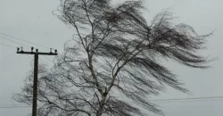 Упавшие деревья, гроза и сильный ветер: в Днепре и области объявлен первый уровень опасности - рис. 12