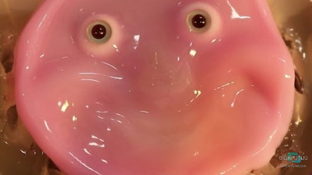 В Японії створили робота з людських клітин, який може посміхатися - рис. 1