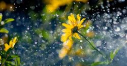 Ожидается кратковременный дождь: какой будет погода в Днепре 14 июня - рис. 4