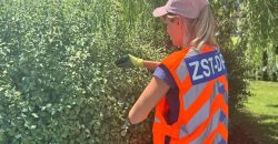 Дефіцит кадрів у комунальних підприємствах Дніпра: які вакансії пропонують - рис. 4