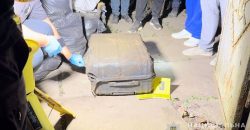 У Кривому Розі затримали матір, яка вбила та забетонувала власну доньку у валізі: їй загрожує довічне - рис. 4