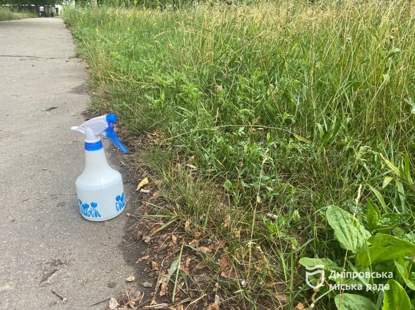 Препарат безпечний для людини, флори й фауни: у Дніпрі борються з амброзією спеціальним агрохімічним методом - рис. 2