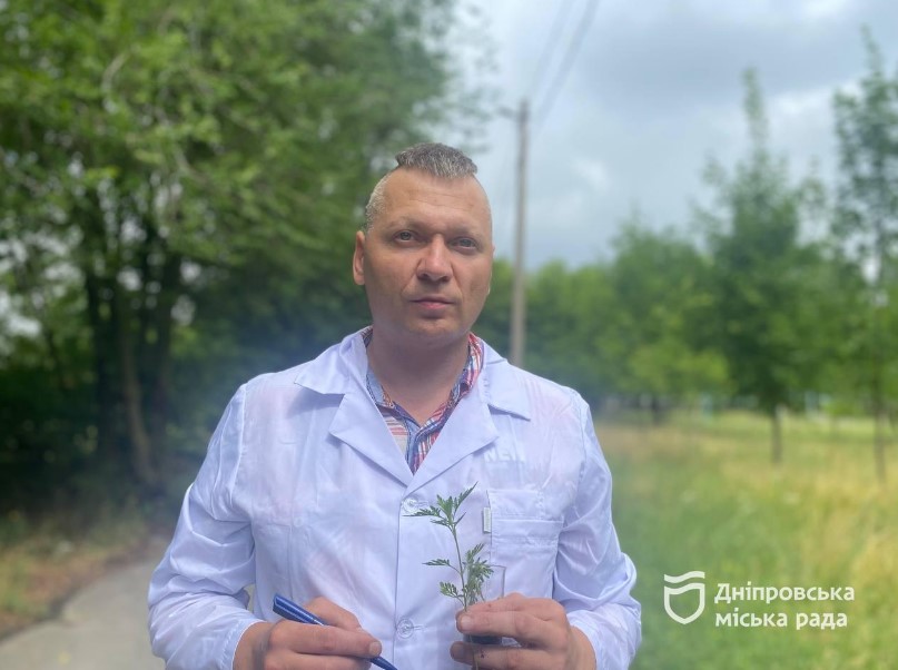 Препарат безпечний для людини, флори й фауни: у Дніпрі борються з амброзією спеціальним агрохімічним методом - рис. 1