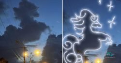 У небі над Дніпром зафільмували жеребця, який є символом свободи