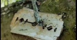 В Днепре неизвестные прикрепили острые лезвия от бритвы на дерево - рис. 7