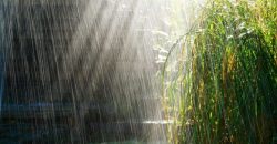 Жара ослабеет, будет дождь: прогноз погоды в Днепре на 22 июля - рис. 5