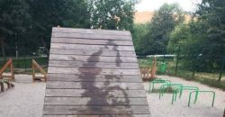 В Днепре неизвестные облили машинным маслом площадку для собак - рис. 14