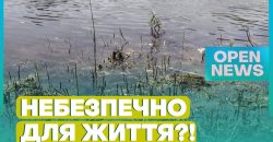 На двох пляжах Дніпра знайшли шкідливі бактерії - рис. 4