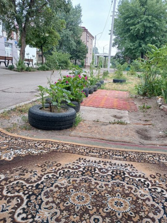 У Дніпрі знайшли "найрозкішніше" подвір’я міста, застелене килимами