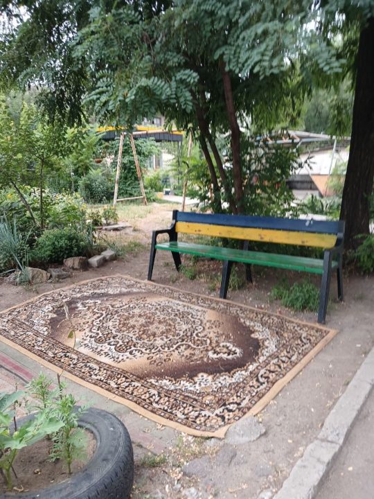 У Дніпрі знайшли "найрозкішніше" подвір’я міста, застелене килимами