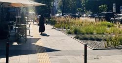 У середмісті Дніпра створили зелений оазис - рис. 2