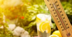 До +37 градусів тепла вдень: якою буде погода у Дніпрі 13 липня