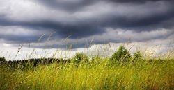 Без осадков: какой будет погода в Днепре 6 июля - рис. 13