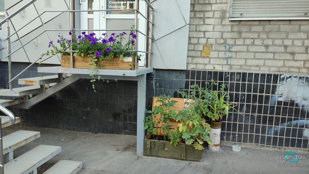 В центре Днепра высадили овощи в ящике из-под боеприпасов - рис. 1