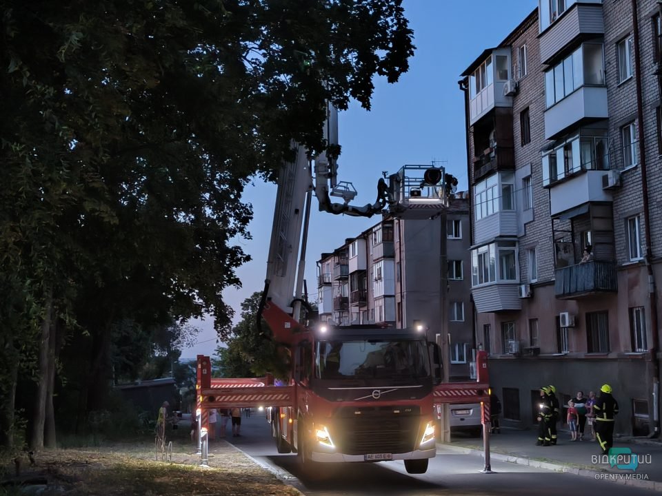 У Дніпрі врятували маленького котика, який заліз на дерево - рис. 3