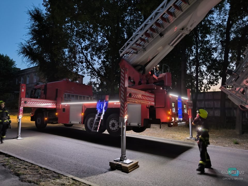 У Дніпрі врятували маленького котика, який заліз на дерево - рис. 5