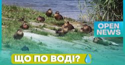 На Дніпропетровщині міліють річки: чому та де саме - рис. 6