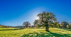 Осадков не ожидается: какой будет погода в Днепре 24 июля - рис. 1