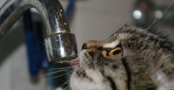 Де у Дніпрі відсутнє водопостачання: адреси