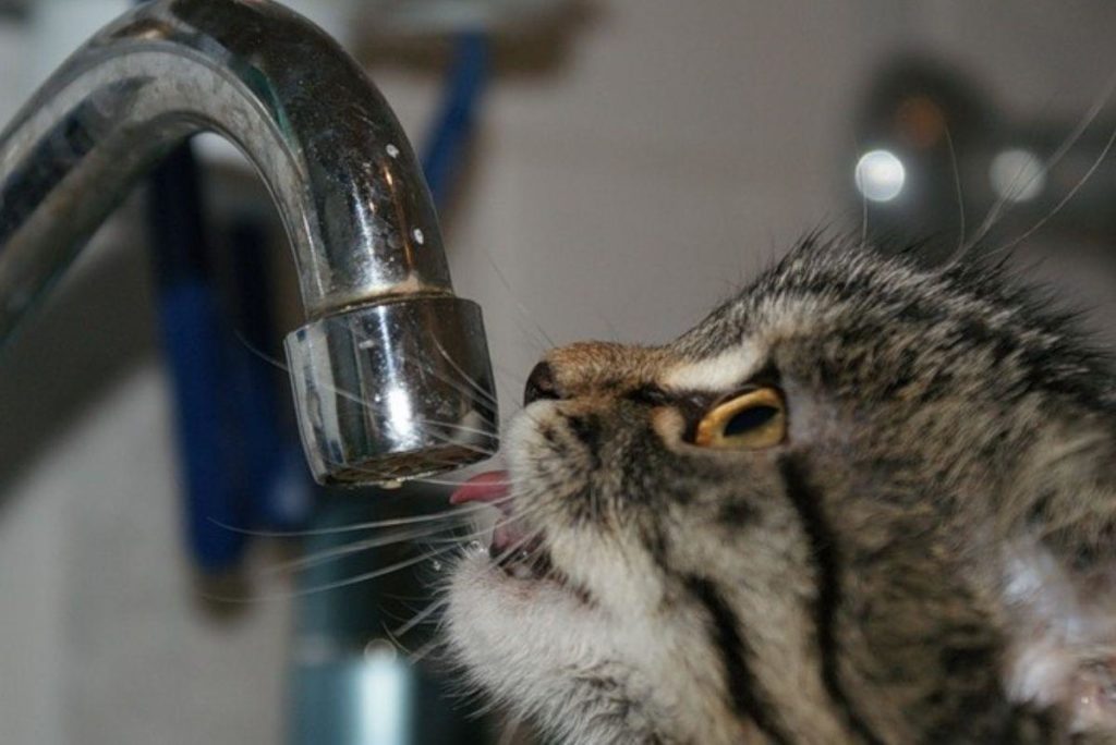 Де у Дніпрі відсутнє водопостачання: адреси