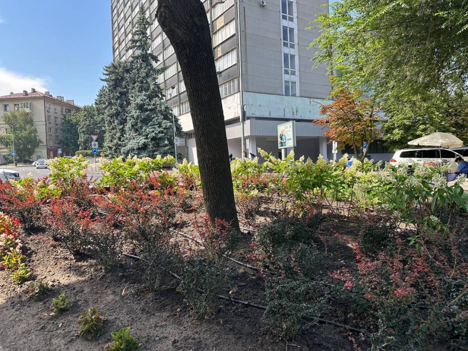 У Дніпрі невідомі крадуть квіти з центральної алеї парку Шевченка