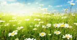 Прогноз погоды в Днепре на 21 июля - рис. 3