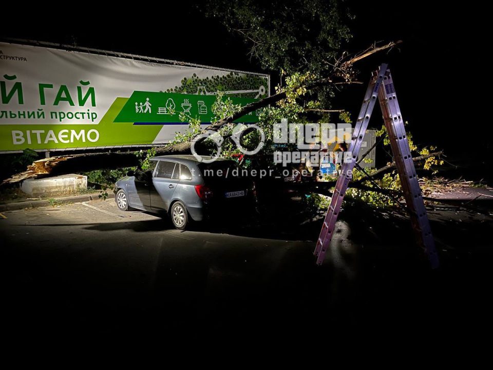 У Дніпрі дерево впало на припарковані авто