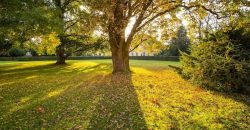 Станет немного жарче: какой будет погода в Днепре 1 августа - рис. 3