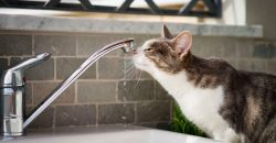 У Дніпрі частково відсутнє водопостачання: адреси