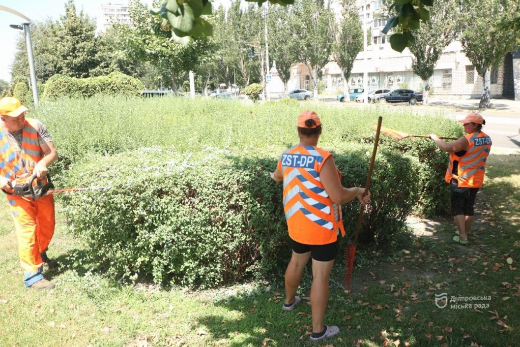 У Дніпрі продовжують піклуватись про зелені насадження - рис. 1