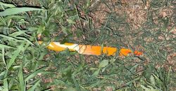 В Днепре ранее судимый отец жестоко зарезал приемного сына