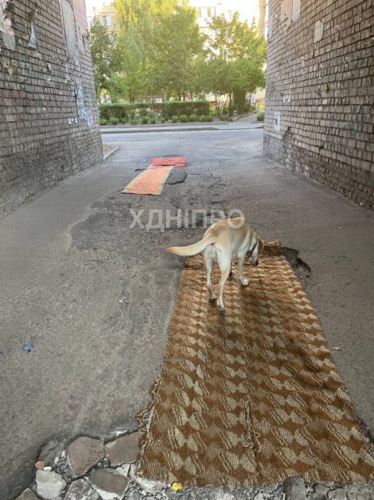 У Дніпрі мешканці житломасиву Перемога застеляють ями на дорогах килимами - рис. 1