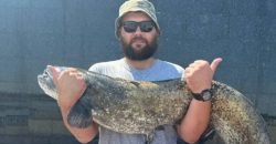 В Днепре рыбак поймал сома-великана - рис. 2