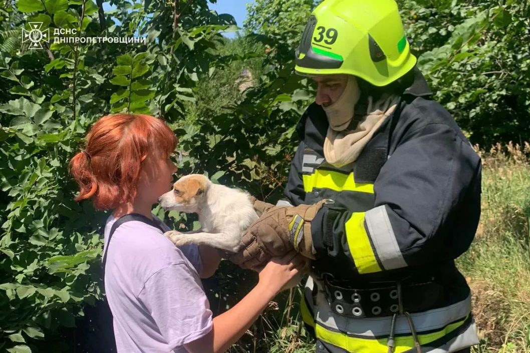 На Дніпропетровщині врятували маленького песика, який впав у льох - рис. 2