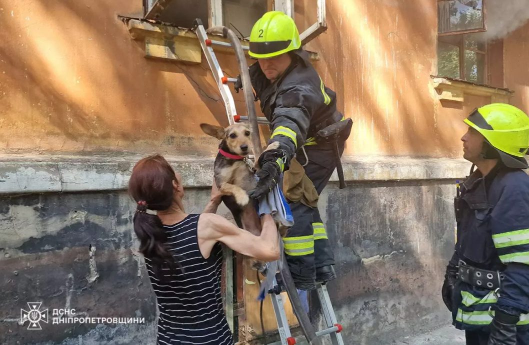 У Дніпрі з квартири, охопленої вогнем, врятували двох песиків