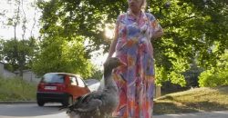 У Дніпрі відшукалили гусака, який розгулює містом у чоботях