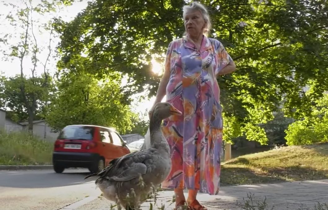 У Дніпрі відшукалили гусака, який розгулює містом у чоботях