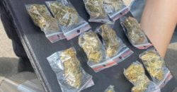 У Дніпрі затримали чоловіка з сумкою наркотиків - рис. 1