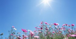 Прогноз погоды в Днепре на 1 сентября - рис. 1