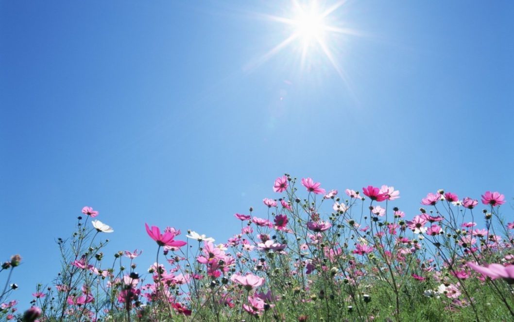 Прогноз погоди у Дніпрі на 1 вересня - рис. 1