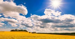 До 28 градусов тепла: какой будет погода в Днепре 9 августа - рис. 5